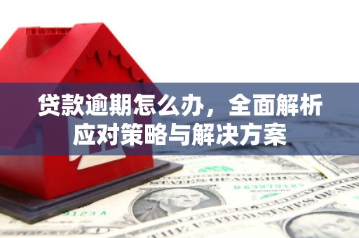 宝山贷款逾期怎么办，全面解析应对策略与解决方案