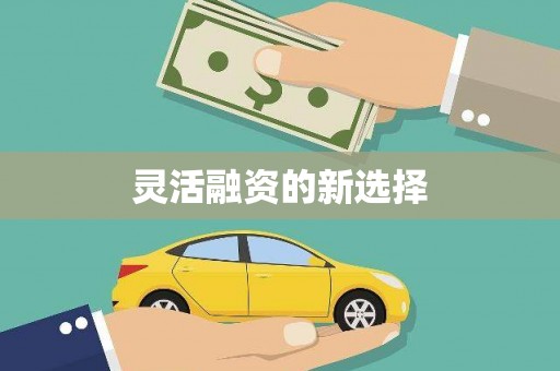 宝山灵活融资的新选择