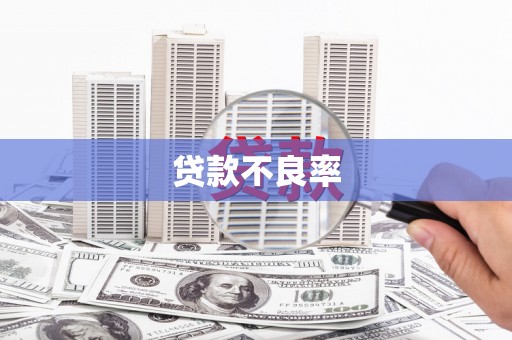 宝山贷款不良率
