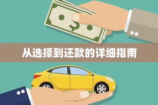 宝山从选择到还款的详细指南