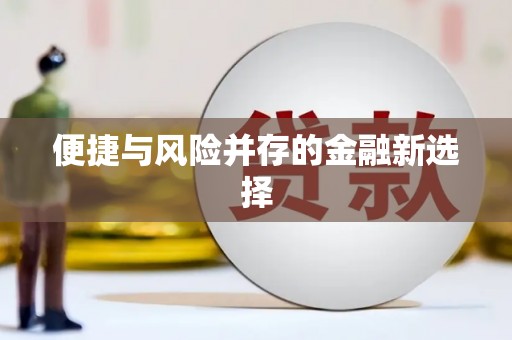 宝山便捷与风险并存的金融新选择