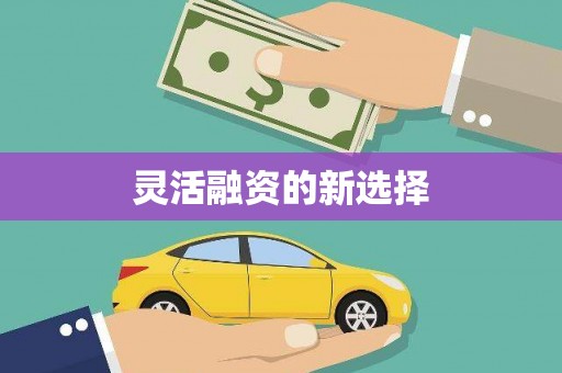 宝山灵活融资的新选择