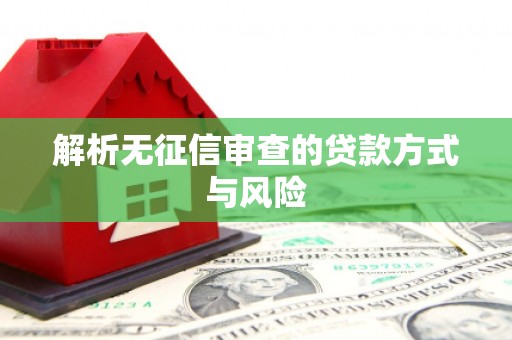 宝山解析无征信审查的贷款方式与风险