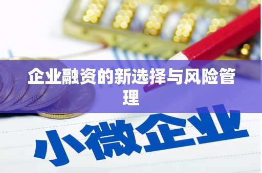 宝山企业融资的新选择与风险管理