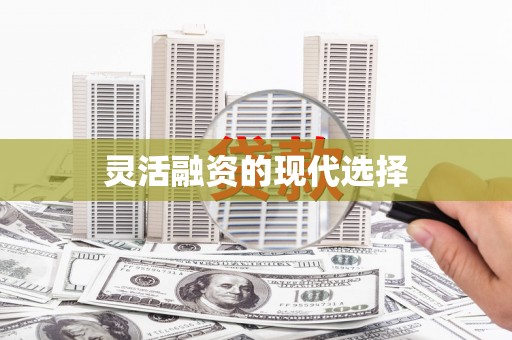 宝山灵活融资的现代选择