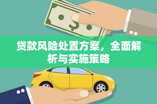 宝山贷款风险处置方案，全面解析与实施策略