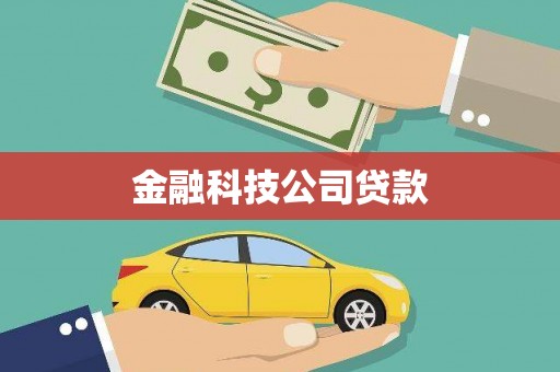 宝山金融科技公司贷款
