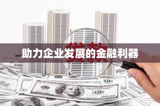 宝山助力企业发展的金融利器