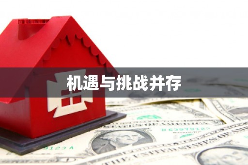 宝山机遇与挑战并存