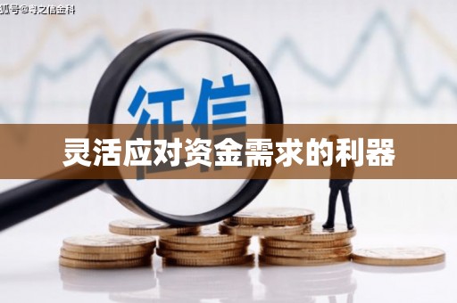 宝山灵活应对资金需求的利器