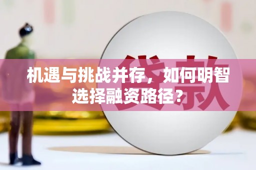 宝山机遇与挑战并存，如何明智选择融资路径？