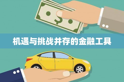 宝山机遇与挑战并存的金融工具