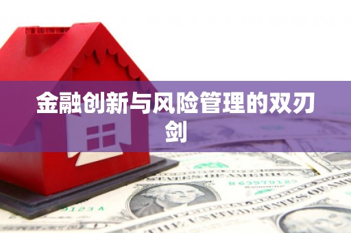 宝山金融创新与风险管理的双刃剑