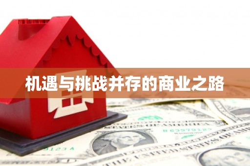 宝山机遇与挑战并存的商业之路