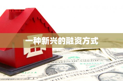 宝山一种新兴的融资方式