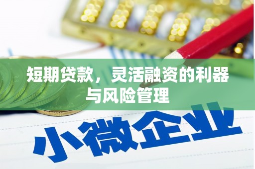 宝山短期贷款，灵活融资的利器与风险管理