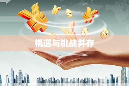 宝山机遇与挑战并存