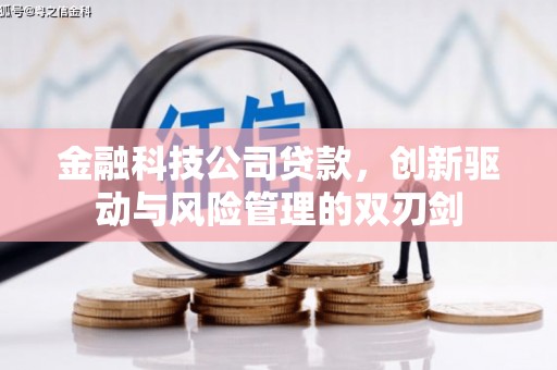 宝山金融科技公司贷款，创新驱动与风险管理的双刃剑